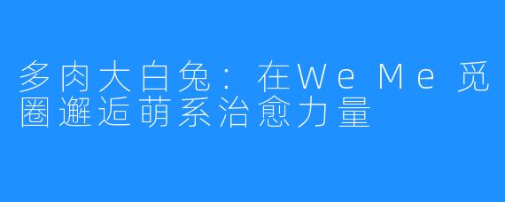 多肉大白兔：在WeMe觅圈邂逅萌系治愈力量