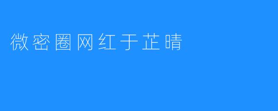 微密圈网红于芷晴
