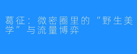 葛征:微密圈里的“野生美学”与流量博弈