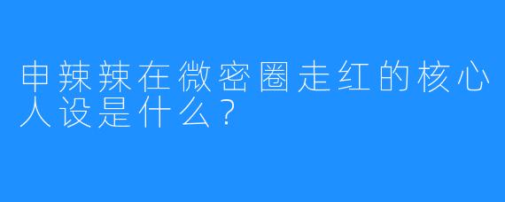 申辣辣在微密圈走红的核心人设是什么？