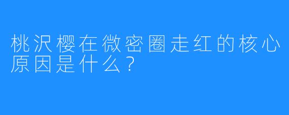 桃沢樱在微密圈走红的核心原因是什么？