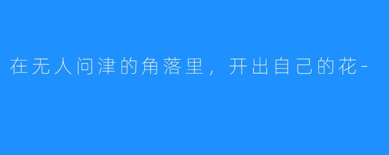 在无人问津的角落里,开出自己的花-