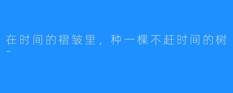 在时间的褶皱里,种一棵不赶时间的树-