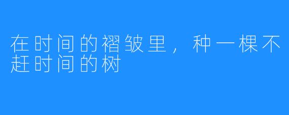 在时间的褶皱里,种一棵不赶时间的树