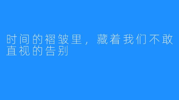 时间的褶皱里,藏着我们不敢直视的告别